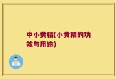 中小黄精(小黄精的功效与用途)