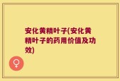 安化黄精叶子(安化黄精叶子的药用价值及功效)