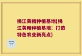 桃江黄精种植基地(桃江黄精种植基地：打造特色农业新亮点)