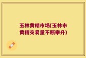 玉林黄精市场(玉林市黄精交易量不断攀升)