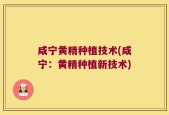 咸宁黄精种植技术(咸宁：黄精种植新技术)
