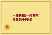 一兆黄精(一兆黄精：珍贵的中药材)