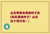 山东哪里有黄精种子卖(购买黄精种子？山东这个地方有！)