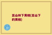嵩山林下黄精(嵩山下的黄精)