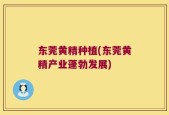 东莞黄精种植(东莞黄精产业蓬勃发展)