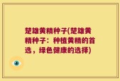 楚雄黄精种子(楚雄黄精种子：种植黄精的首选，绿色健康的选择)