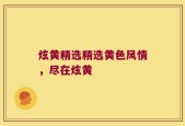 炫黄精选精选黄色风情，尽在炫黄