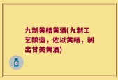九制黄精黄酒(九制工艺酿造，佐以黄精，制出甘美黄酒)