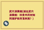 武穴滇黄精(湖北武穴滇黄精：珍贵中药材如何保护和开发利用？)