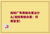 南阳广寿黄精白果治什么(南阳黄精白果：何病皆宜)