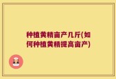 种植黄精亩产几斤(如何种植黄精提高亩产)