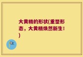 大黄精的形状(重塑形态，大黄精焕然新生！)