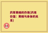药草黄精的作用(药用价值：黄精与身体的关系)