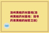 池州黄精药材基地(池州黄精药材基地：探寻药用黄精的秘密之旅)
