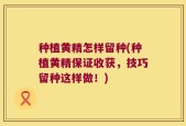 种植黄精怎样留种(种植黄精保证收获，技巧留种这样做！)