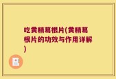吃黄精葛根片(黄精葛根片的功效与作用详解)