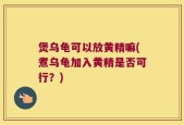 煲乌龟可以放黄精嘛(煮乌龟加入黄精是否可行？)