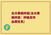 合川黄精种苗(合川黄精种苗：种植高效  品质优良)