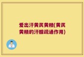 爱出汗黄芪黄精(黄芪黄精的汗腺疏通作用)