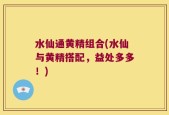 水仙通黄精组合(水仙与黄精搭配，益处多多！)
