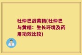 杜仲巴战黄精(杜仲巴与黄精：生长环境及药用功效比较)