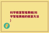 科学根茎繁殖黄精(科学繁殖黄精的根茎方法)