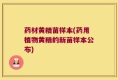 药材黄精苗样本(药用植物黄精的新苗样本公布)