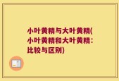 小叶黄精与大叶黄精(小叶黄精和大叶黄精：比较与区别)