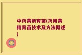 中药黄精育苗(药用黄精育苗技术及方法概述)