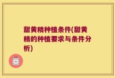 甜黄精种植条件(甜黄精的种植要求与条件分析)