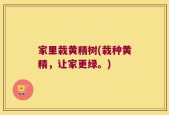 家里栽黄精树(栽种黄精，让家更绿。)