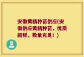 安徽黄精种苗供应(安徽供应黄精种苗，优质新鲜，数量充足！)