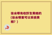 徐水哪有收野生黄精的(徐水哪里可以采摘黄精？)