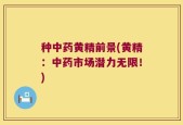 种中药黄精前景(黄精：中药市场潜力无限！)