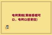 电烤黄精(黄精香糯可口，电烤口感更佳)
