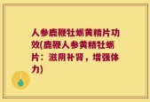 人参鹿鞭牡蛎黄精片功效(鹿鞭人参黄精牡蛎片：滋阴补肾，增强体力)