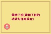黄精下桩(黄精下桩的功效与作用简介)