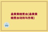 桑黄黄精煮水(桑黄黄精煮水功效与作用)