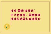 杜仲 黄精 肉桂叶(中药材杜仲、黄精和肉桂叶的功效与用途简介)