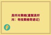 高杆川黄精(重聚高杆川：寻找黄精奇遇记)