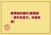 鹿黄精的图片(鹿黄精：提升免疫力，改善体质)