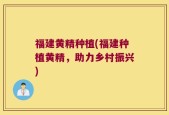 福建黄精种植(福建种植黄精，助力乡村振兴)