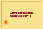 江西那里种植黄精(江西何处栽培黄精？)