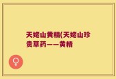 天姥山黄精(天姥山珍贵草药——黄精
