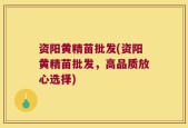 资阳黄精苗批发(资阳黄精苗批发，高品质放心选择)