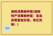 南阳滇黄精种苗(南阳特产滇黄精种苗：首选高质量低价格，现已热销！)
