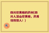 四川挖黄精的药材(四川人深山挖黄精，药用功效惊人！)