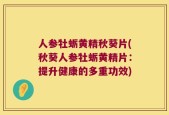 人参牡蛎黄精秋葵片(秋葵人参牡蛎黄精片：提升健康的多重功效)
