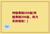 种植黄精200亩(种植黄精200亩，助力农民增收！)