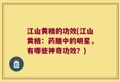 江山黄精的功效(江山黄精：药膳中的明星，有哪些神奇功效？)